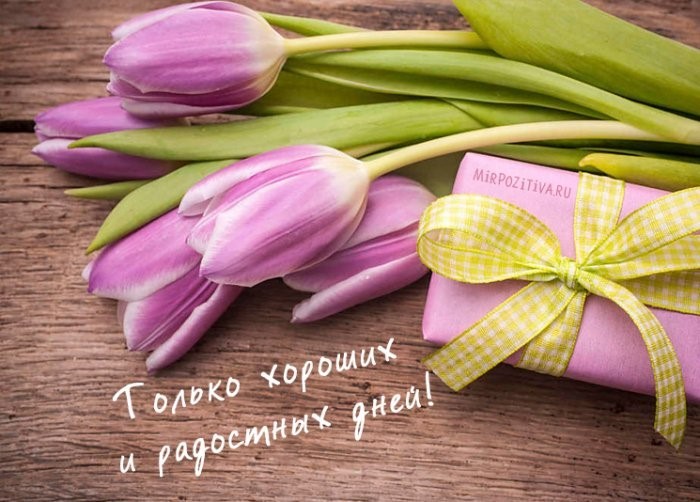 День сімейного лікаря