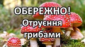 Профілактика отруєнь грибами та дикорослими рослинами
