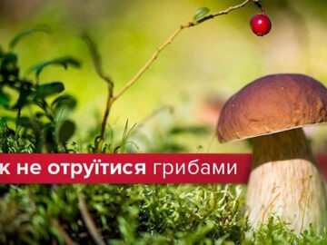Як не отруїтися грибами