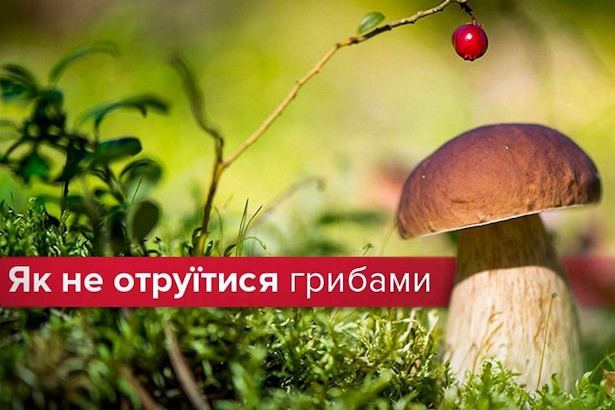Як не отруїтися грибами